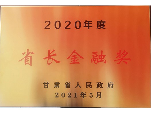 2020年度省长金融奖